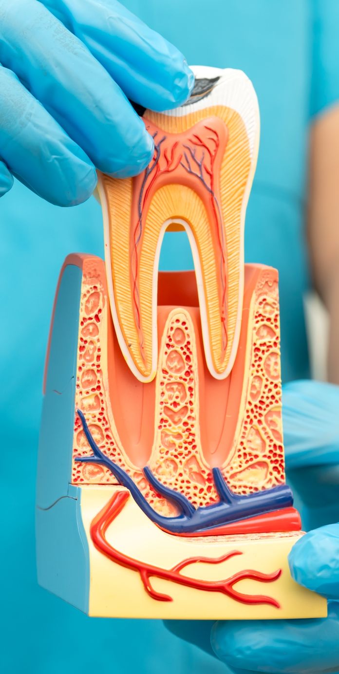 Optima Dental Care